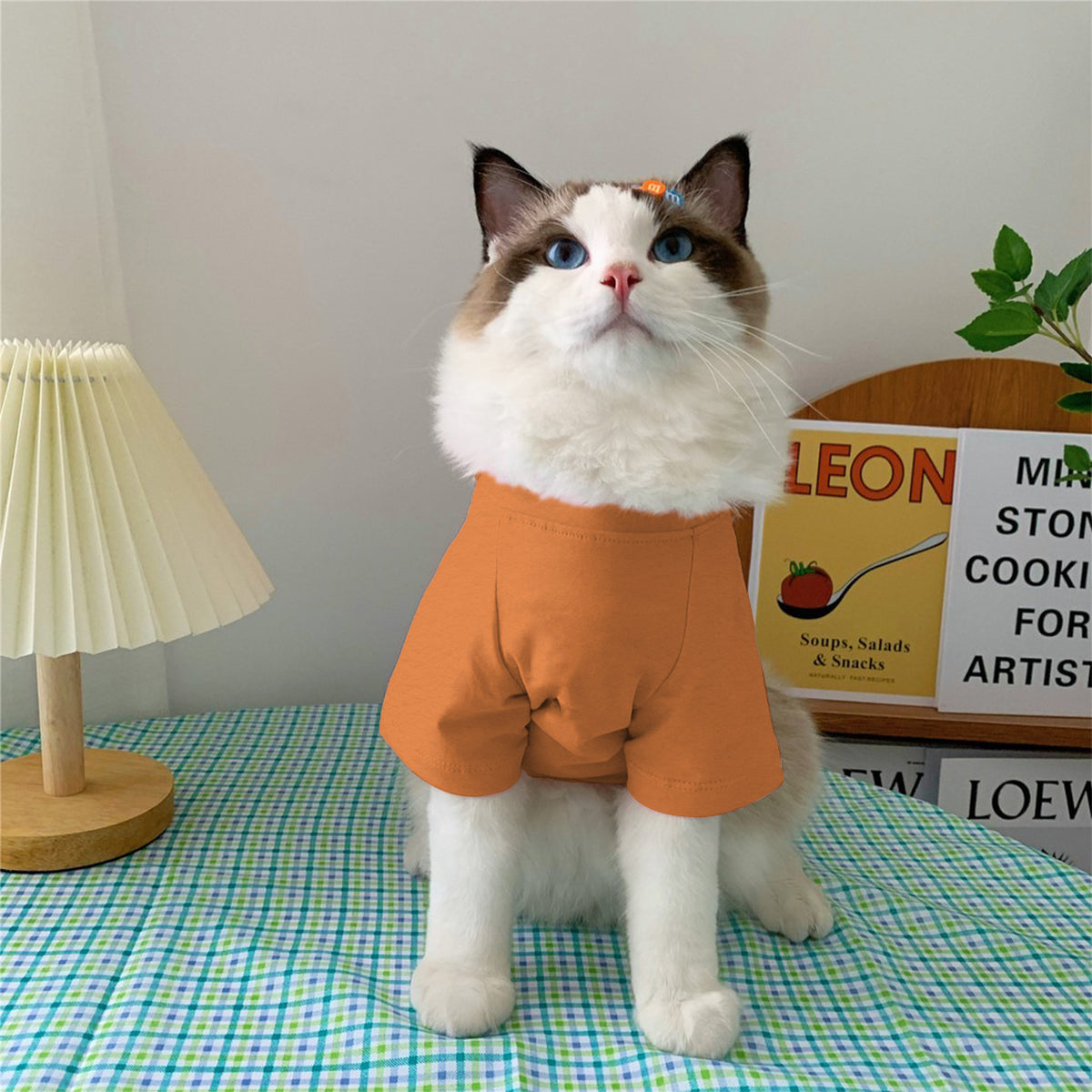 T-shirt personnalisé pour chien « Le petit chouchou de maman »