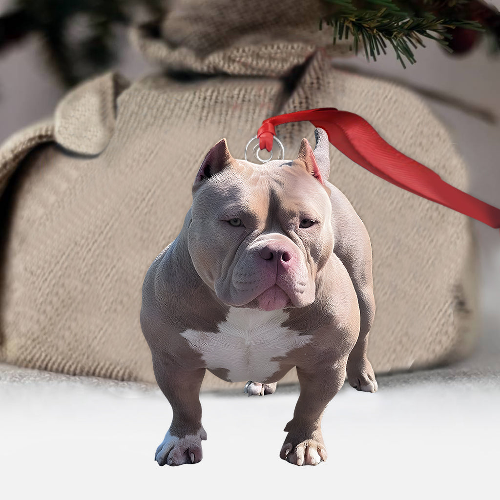 Any Photo Ornament - Personalized Dog Custom Shaped Ornament