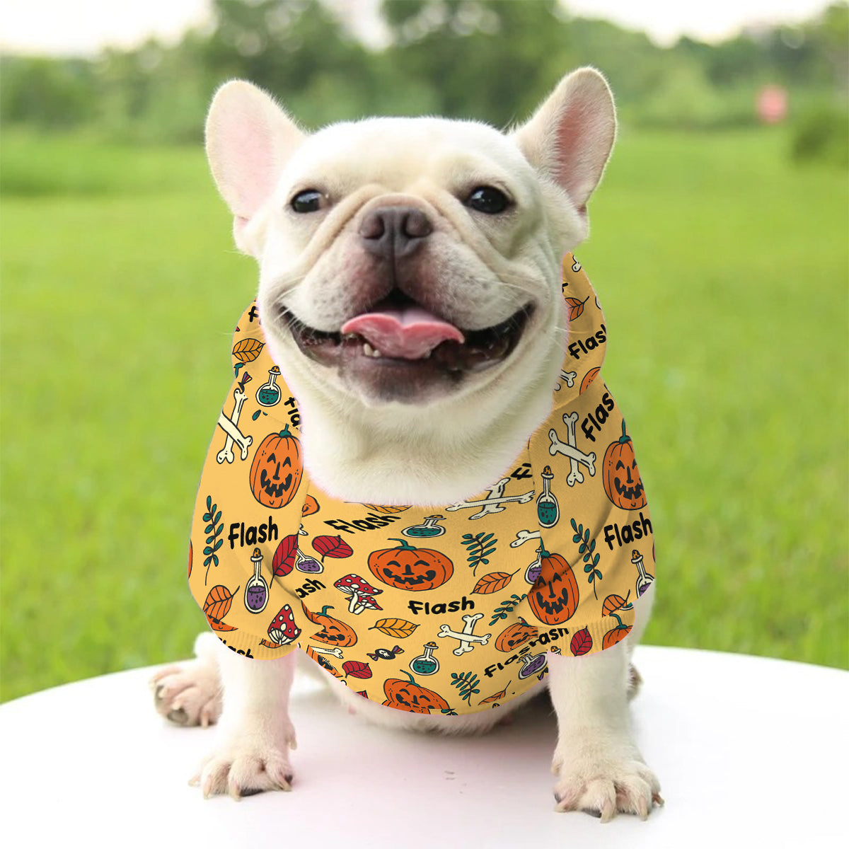 Sweat à capuche personnalisé pour chien fantôme mignon, citrouille et chauve-souris