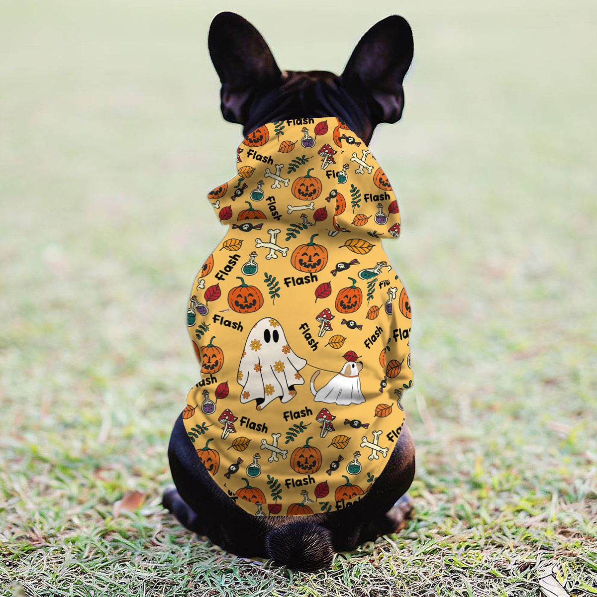 Sweat à capuche personnalisé pour chien fantôme mignon, citrouille et chauve-souris