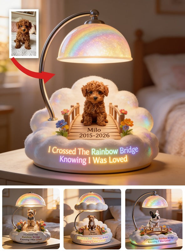 I Crossed The Rainbow Bridge - Personalized Brown Toy Poodle Acrylic LED Night Light