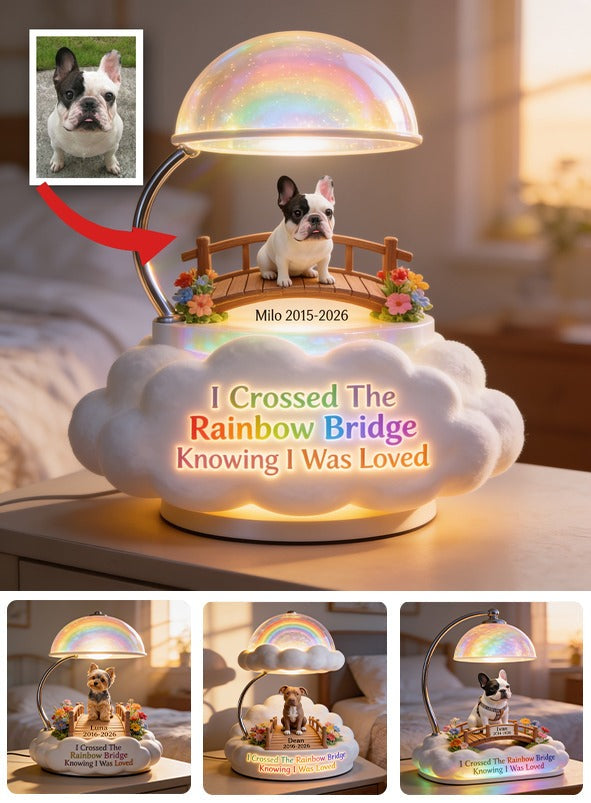 J'ai Traversé Le Pont Arc-en-Ciel - Lampe de Nuit LED Acrylique Personnalisée pour Bouledogue Français