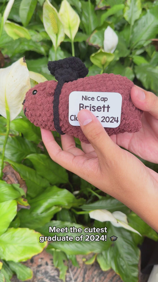 Nice Cap Graduate Capybara - Personalized Graduation Hand Knitted Figurine