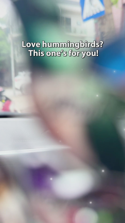 Membres de la famille Colibris Beaux oiseaux - Ornement de voiture personnalisé en forme de famille