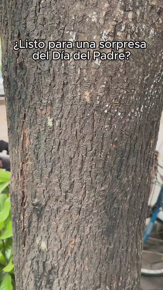 Este Papá Pertenece A - Personalized Father Tumbler