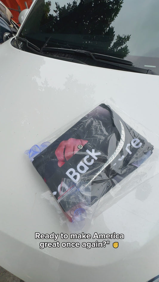 Monte, perdant ! - Pare-soleil de voiture