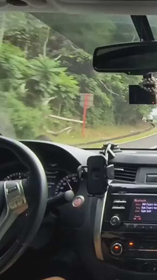 Salty Lil' Beach - Housses de siège personnalisées en forme de tortue