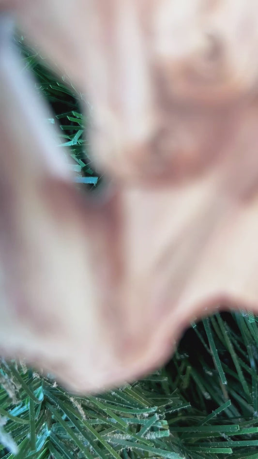 Couple de chevaux - Ornement de Noël personnalisé représentant des chevaux (Impression recto verso)