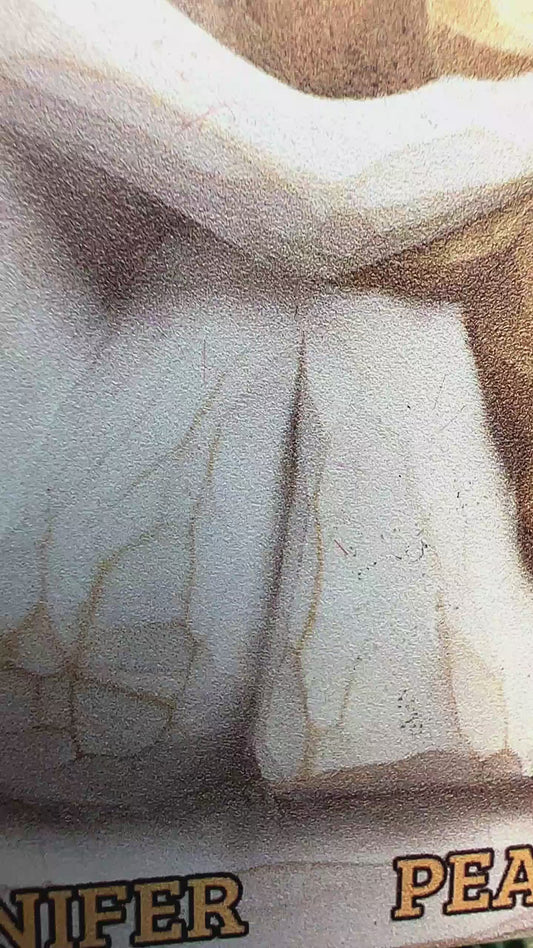 Ornement de Noël personnalisé Chien et Fille (Impression recto verso)