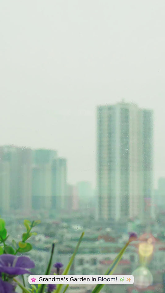 Jardin de la grand-mère - Attrape-soleil personnalisé à suspendre à la fenêtre pour grand-mère 