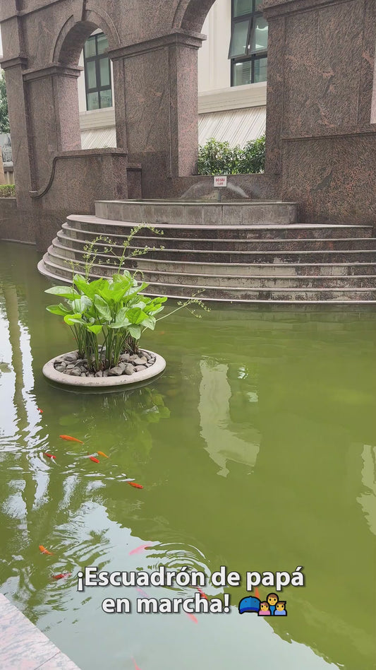 El mejor papá de todos - Personalized Father Classic Cap