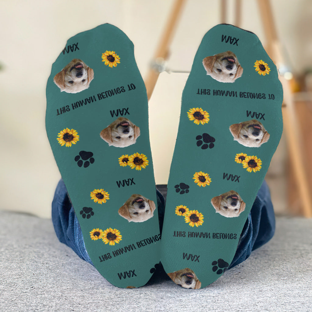 Ce humain appartient à - Cadeau pour amoureux des chats - Chaussettes personnalisées