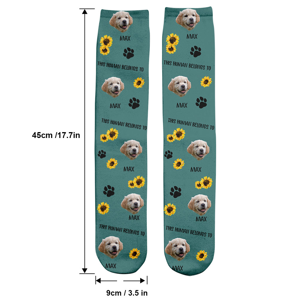 Ce humain appartient à - Cadeau pour amoureux des chats - Chaussettes personnalisées