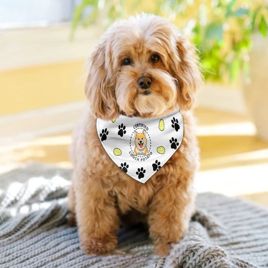 Certified Couch Potato - Personalized Dog Pet Bandana