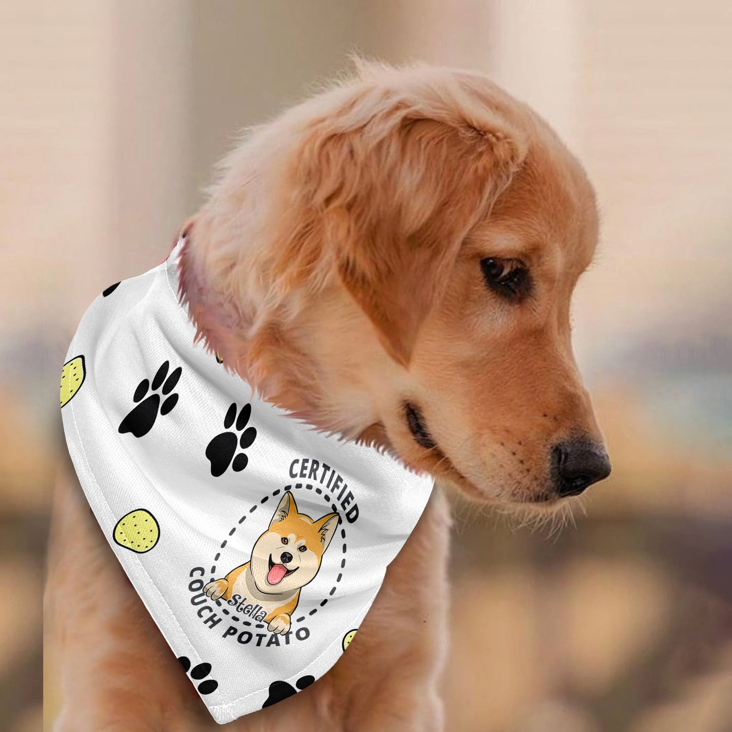 Bandana personnalisé pour chien certifié « Couch Potato »