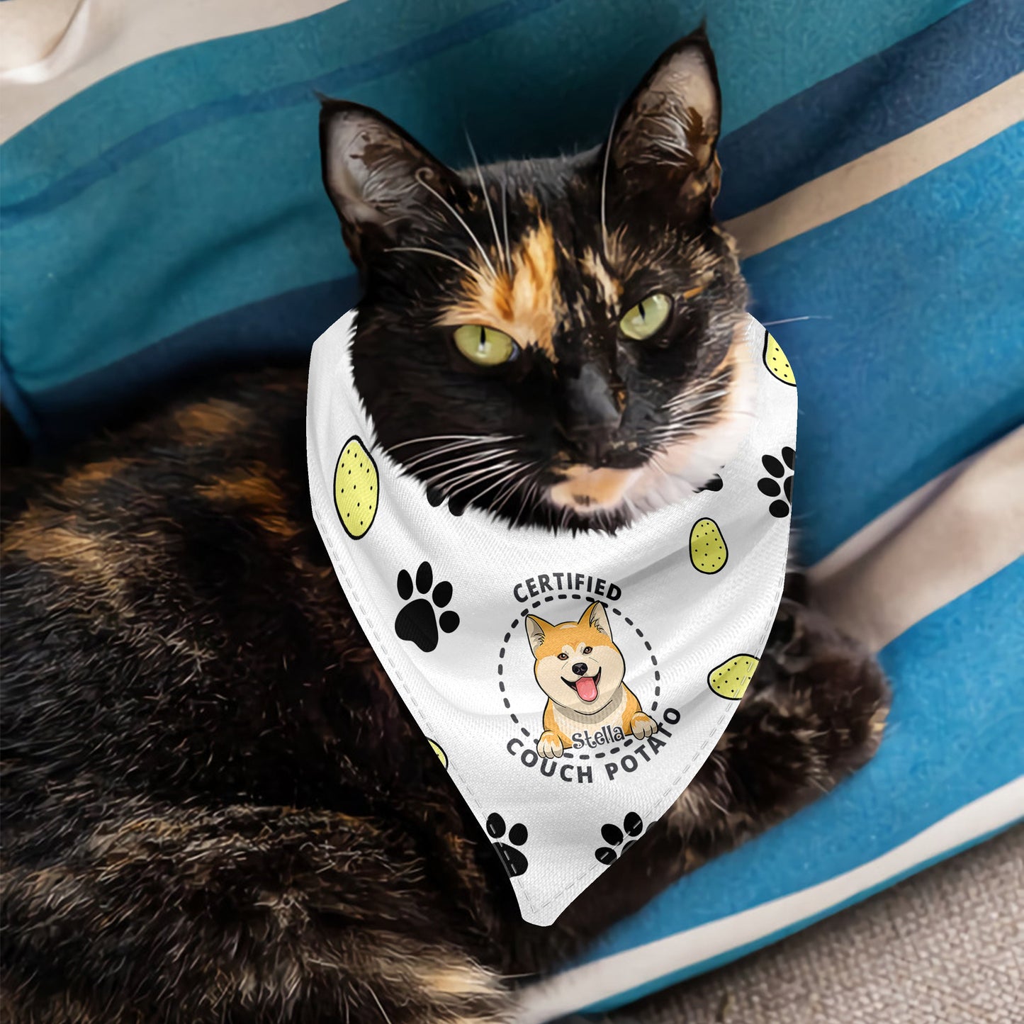 Bandana personnalisé pour chien certifié « Couch Potato »