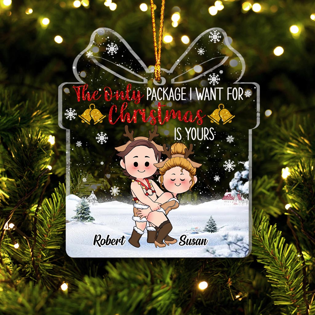 The Only Package I Want For Christmas Is Yours - Personalized Couple Transparent Ornament