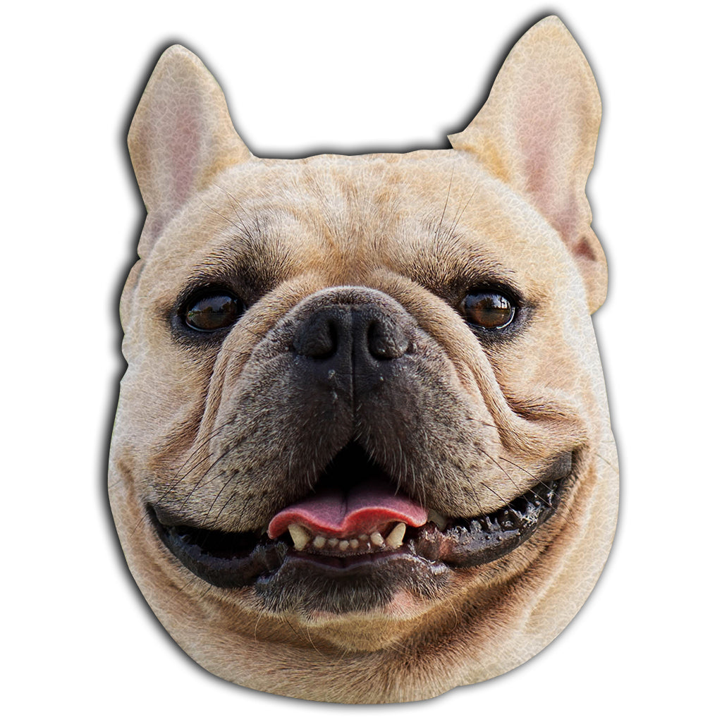 Portrait humoristique personnalisé de votre animal de compagnie - Paillasson personnalisé en forme de chien