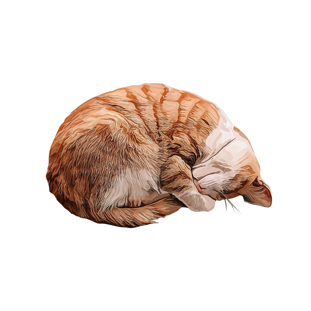 Cute Cat - Personalized Cat Shaped Doormat