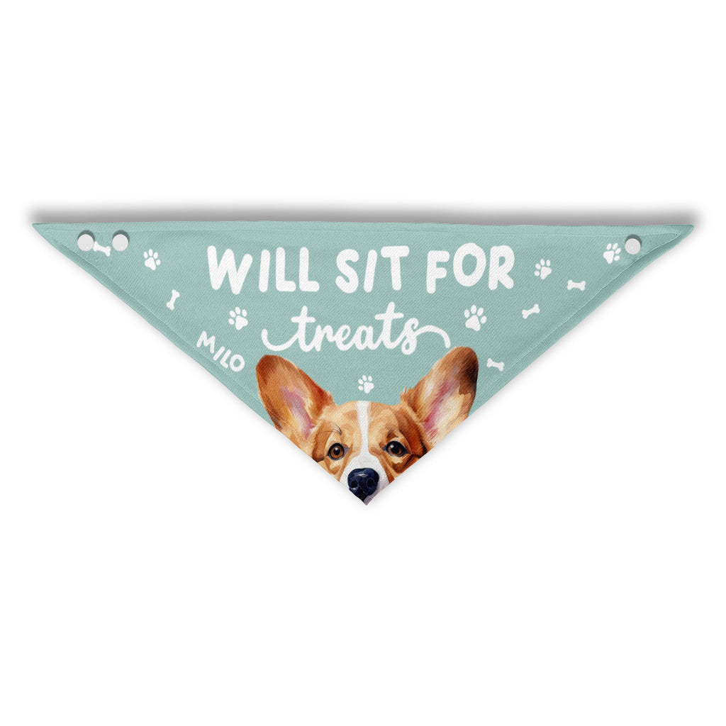 Bandana personnalisé pour chien « Assis pour des friandises »