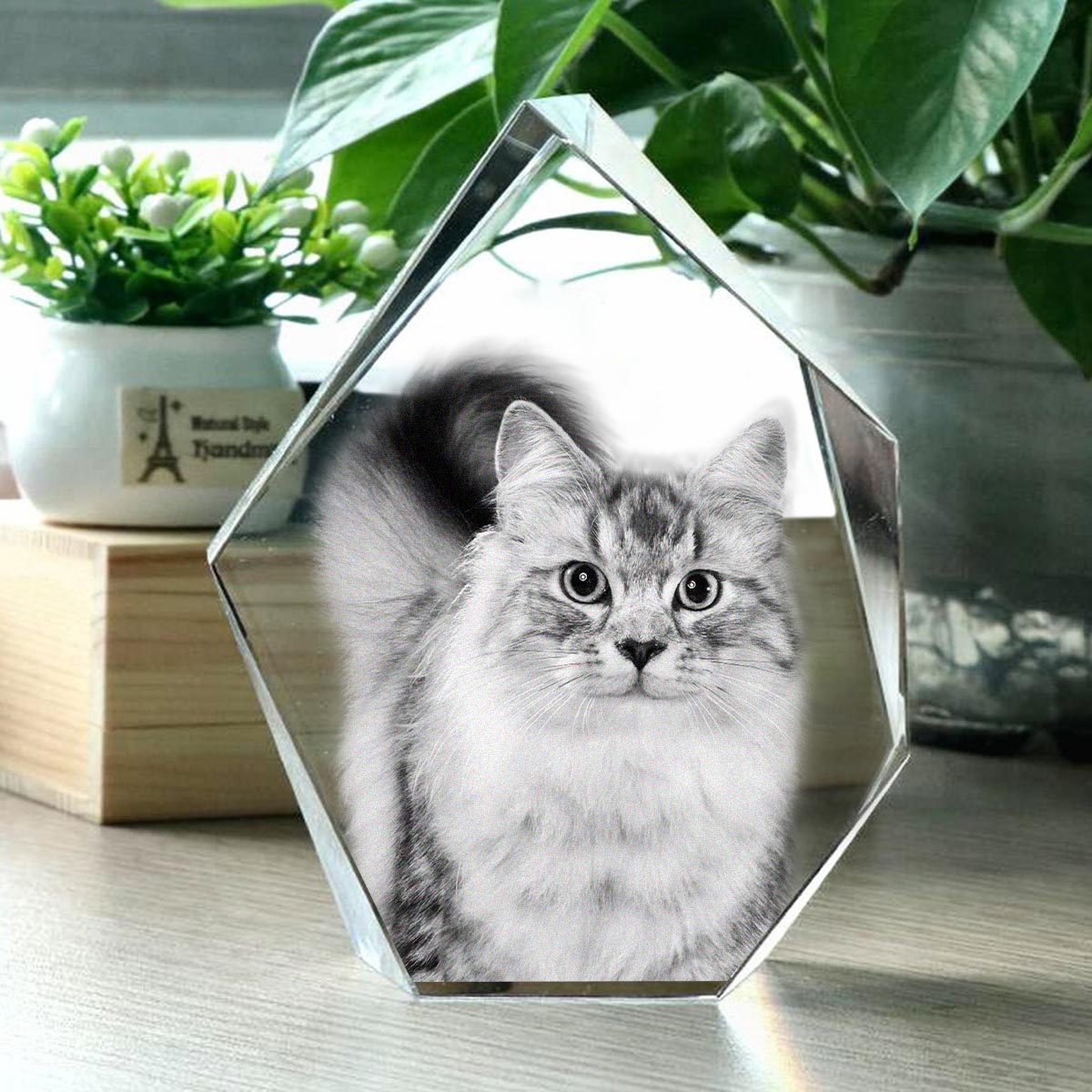 Lampe en cristal 3D en forme d'iceberg avec gravure laser personnalisée d'un chat