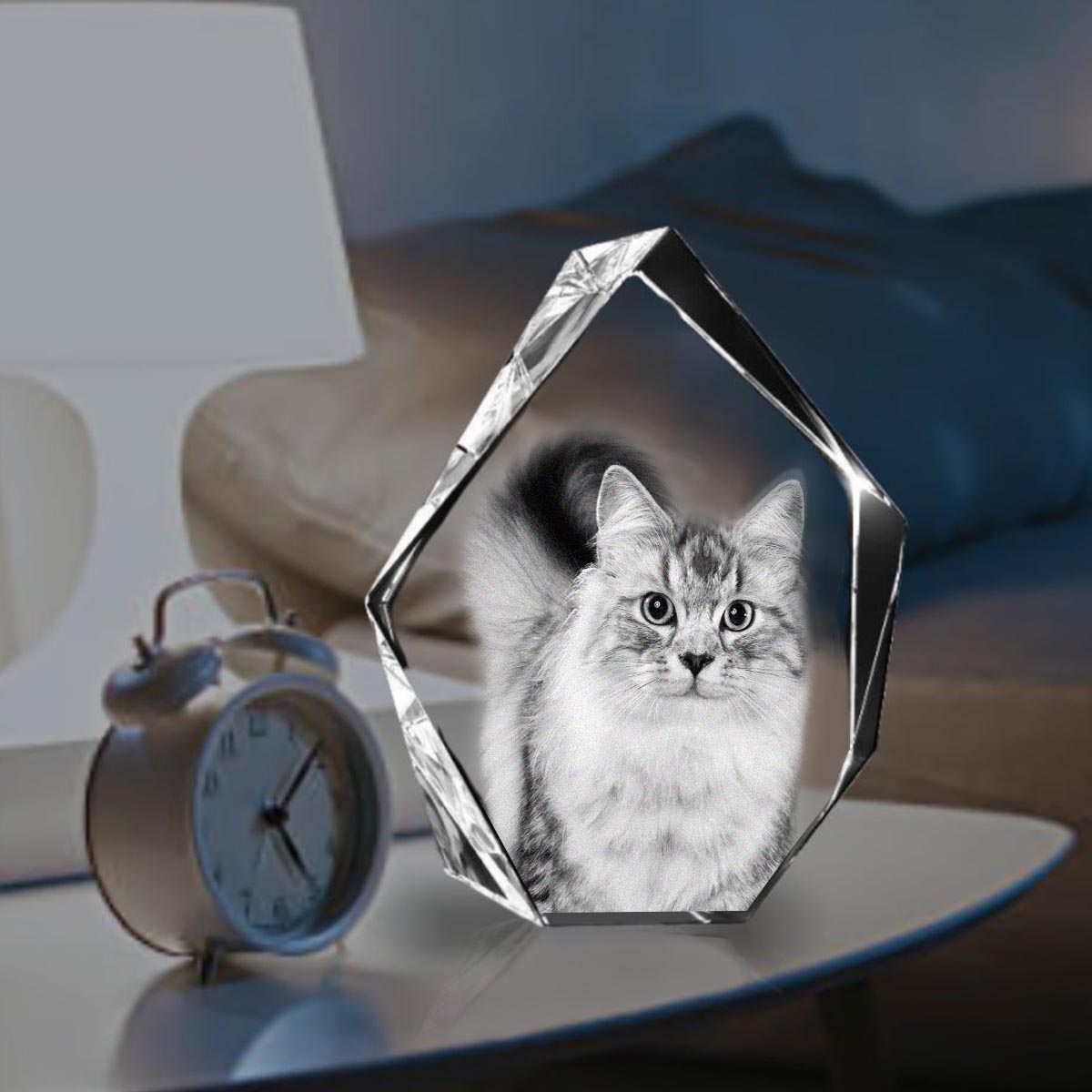 Lampe en cristal 3D en forme d'iceberg avec gravure laser personnalisée d'un chat