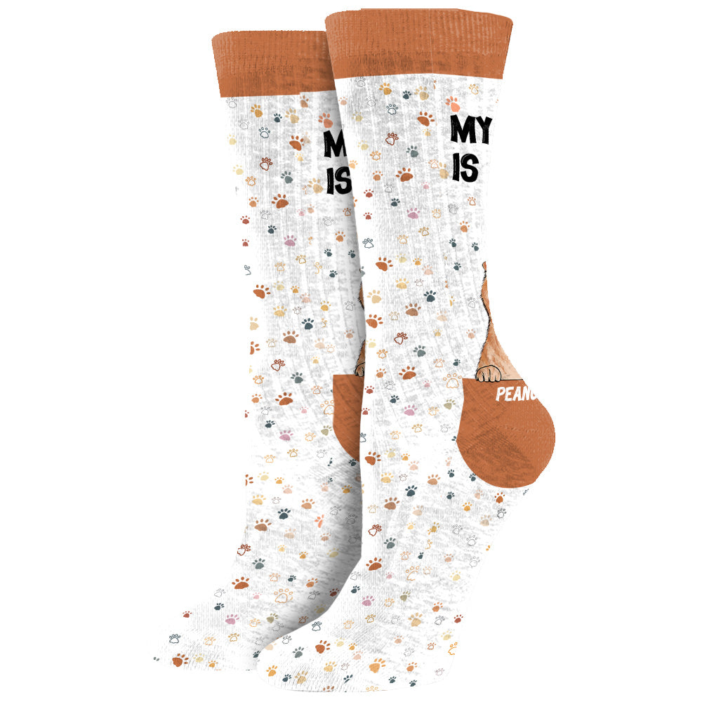 Mon chat est cool - Chaussettes personnalisées pour chiens