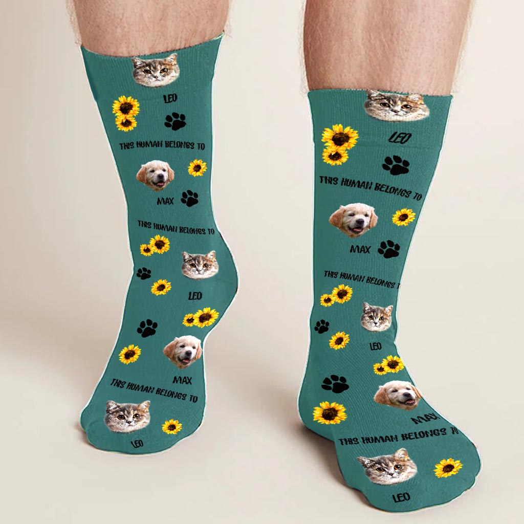 Ce humain appartient à - Cadeau pour amoureux des chats - Chaussettes personnalisées