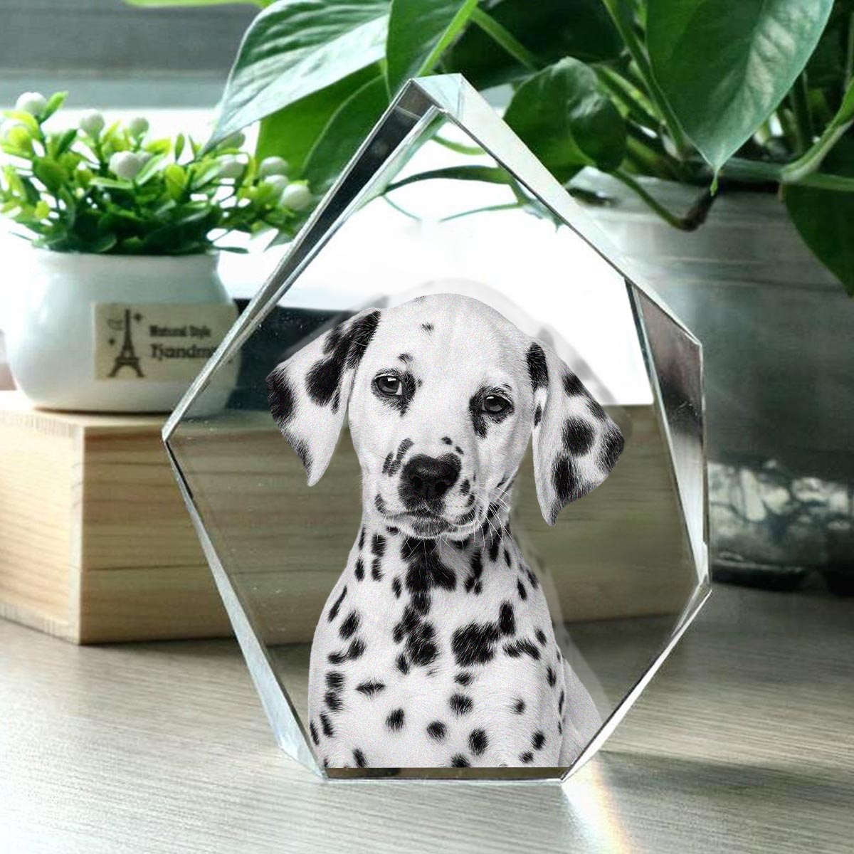 Lampe en cristal 3D en forme d'iceberg avec gravure laser personnalisée pour chien