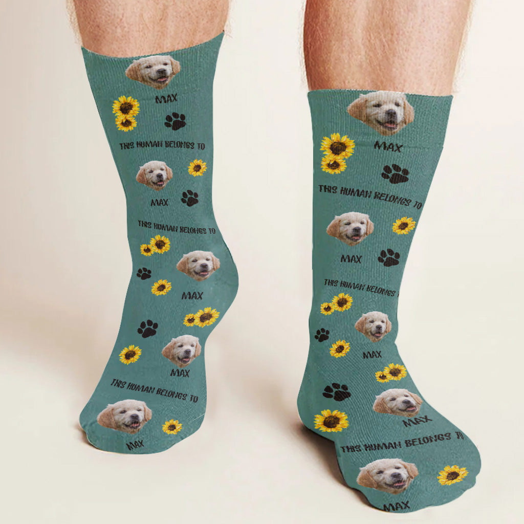 Ce humain appartient à - Cadeau pour amoureux des chats - Chaussettes personnalisées