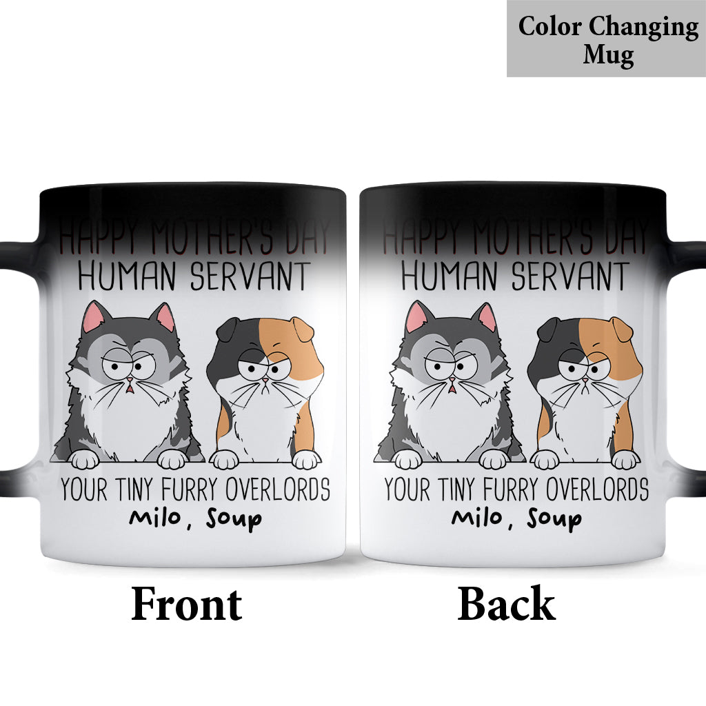 Serviteur humain Chat mignon Petit seigneur poilu - Mug chat personnalisé