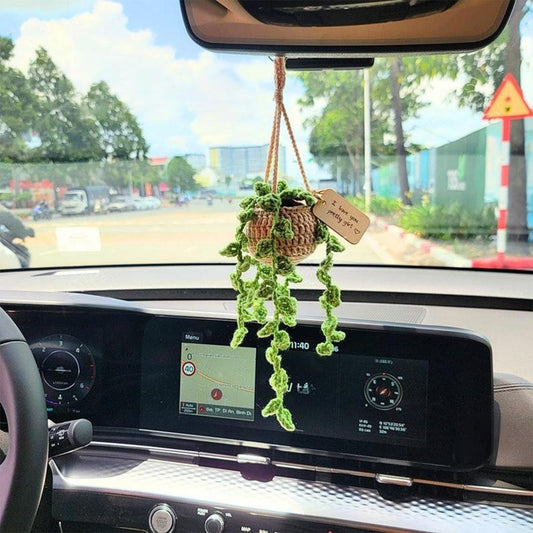 Any Message - Crochet Plant Car Décor