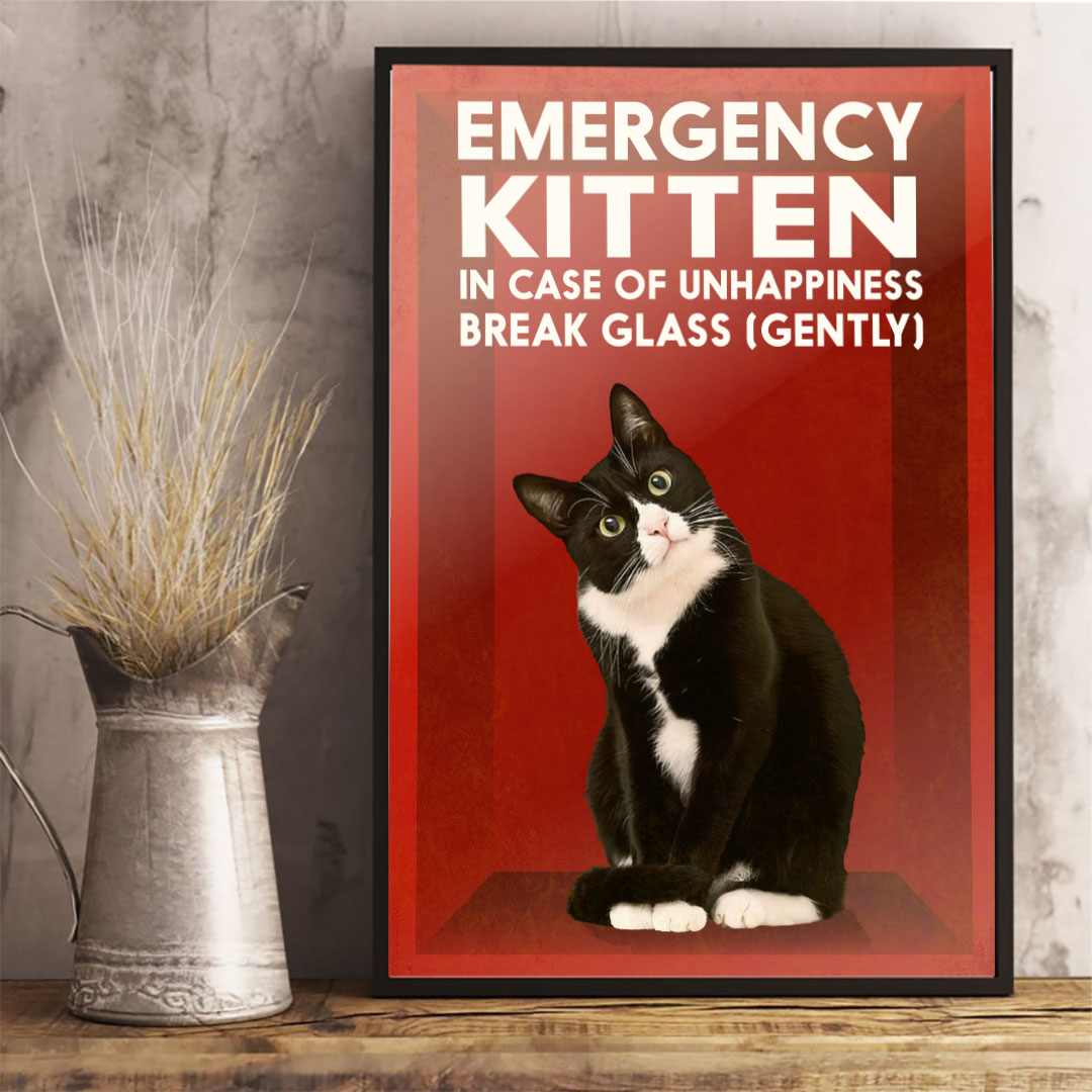 En cas d'urgence - Affiche pour chats